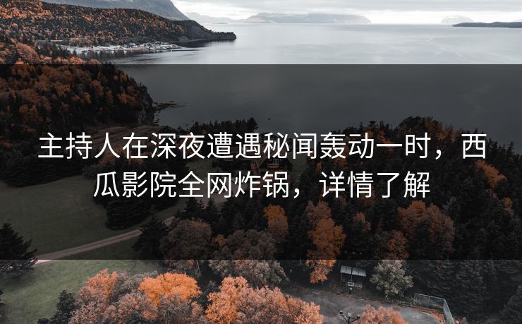 主持人在深夜遭遇秘闻轰动一时，西瓜影院全网炸锅，详情了解