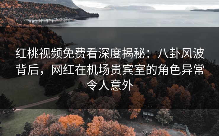 红桃视频免费看深度揭秘：八卦风波背后，网红在机场贵宾室的角色异常令人意外