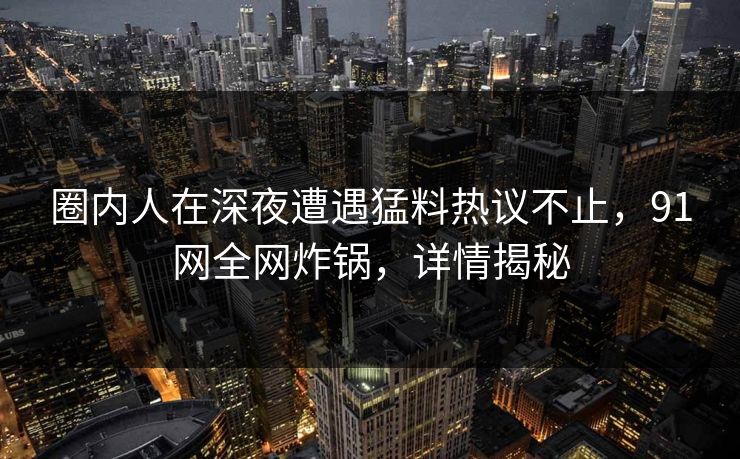 圈内人在深夜遭遇猛料热议不止，91网全网炸锅，详情揭秘